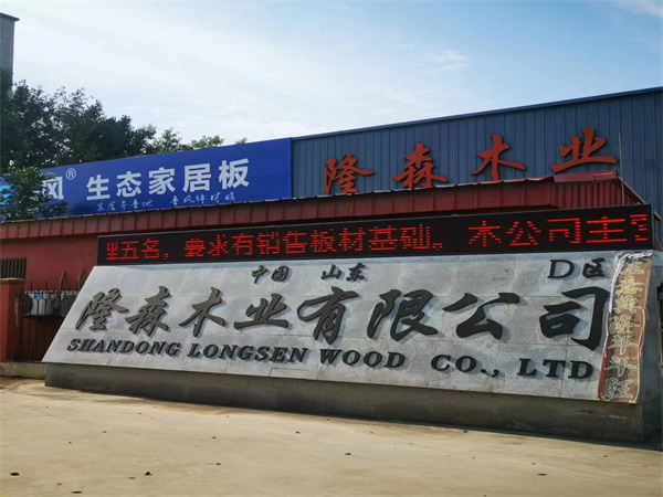 公司厂貌